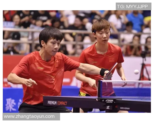 成都乒乓球队比赛经验深度对比分析与发展启示