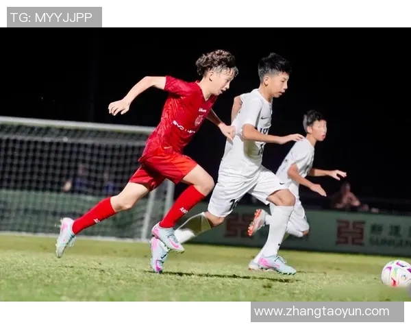 桐乡足球明星阵容全景展示助力地方足球发展与文化传承